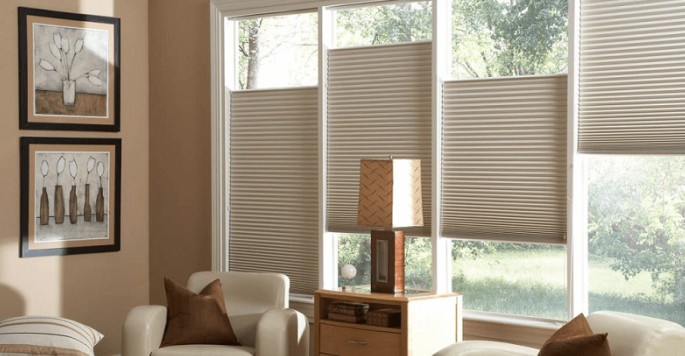 Window Shutters in Sydney | Shutter & Blinds Near You | Timbershades